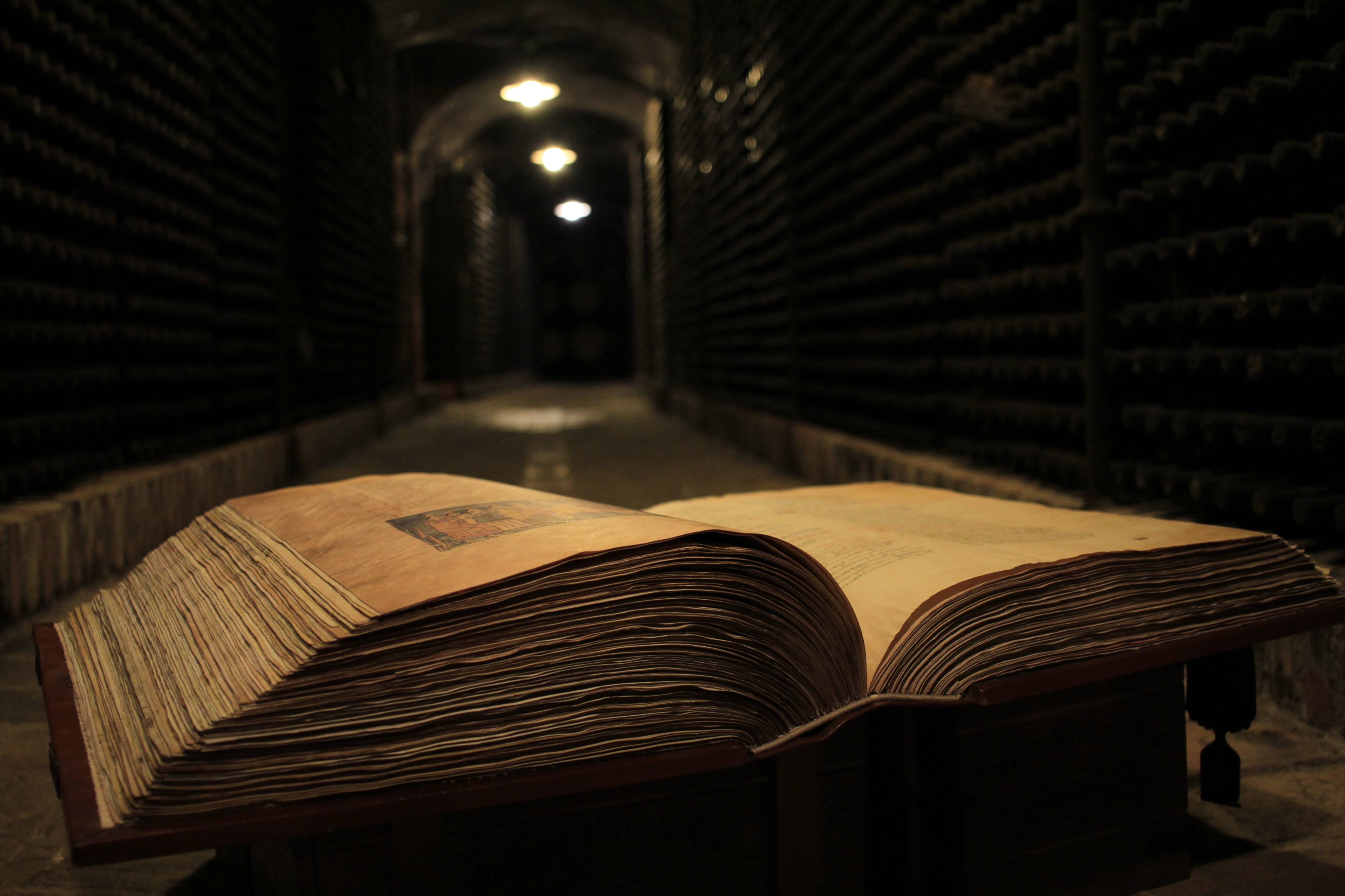 Bodegas Vinícola Real, Premio Internacional BEST OF WINE TOURISM 2022