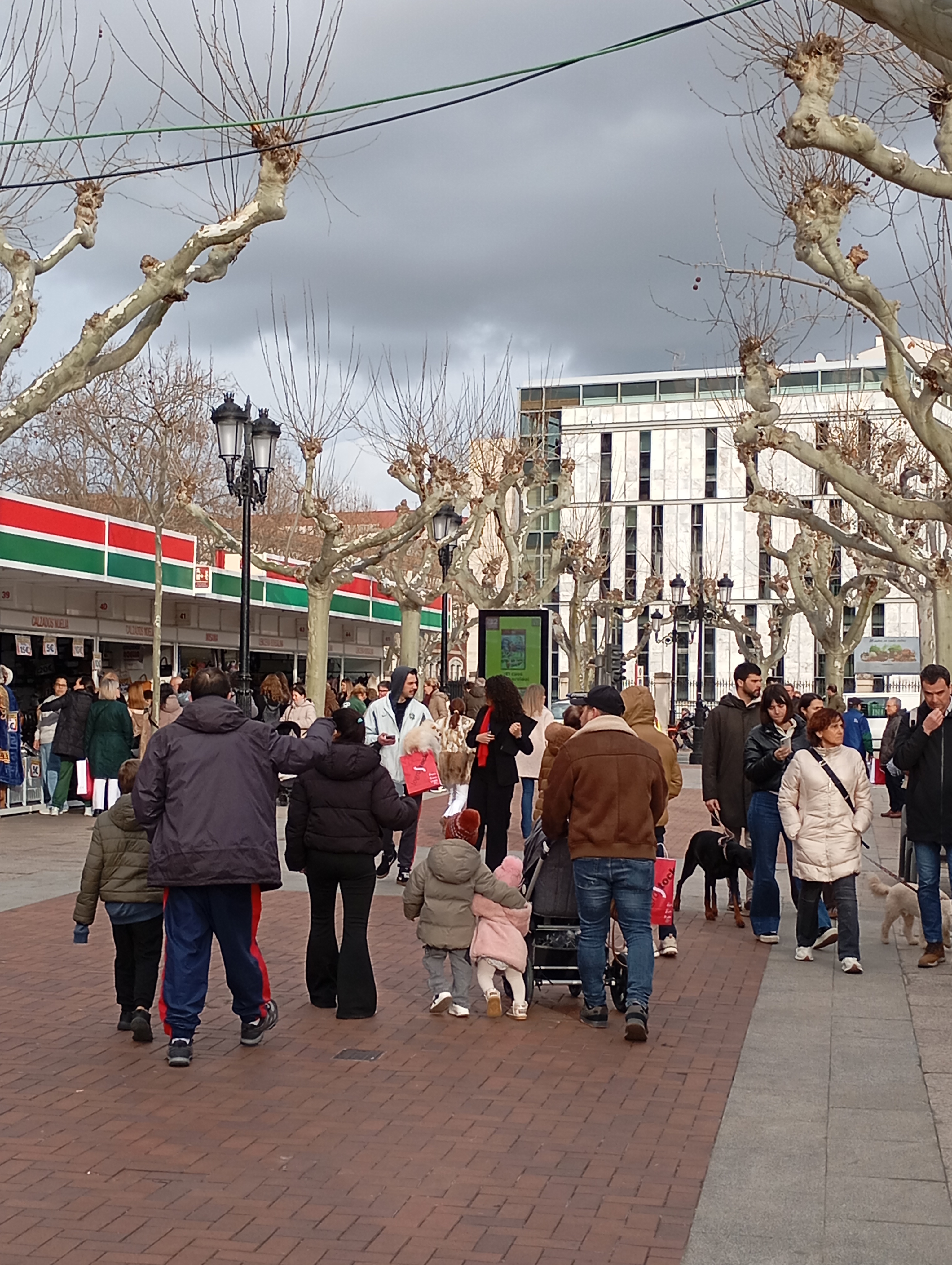 Logrostock supera las 32.000 visitas en su primera jornada y alcanza una valoración media de 8,2